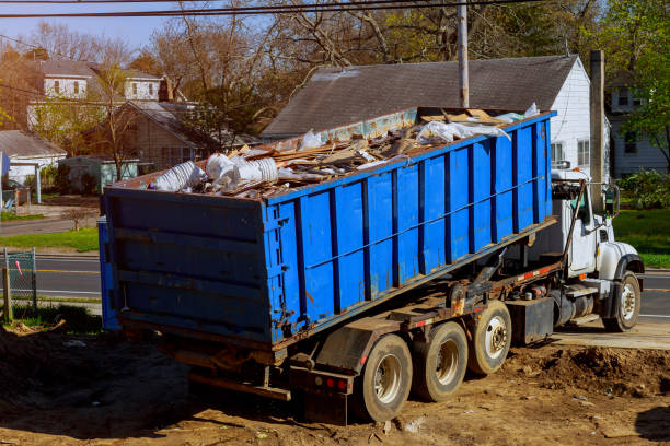 Attic Cleanout Services in Pharr, TX