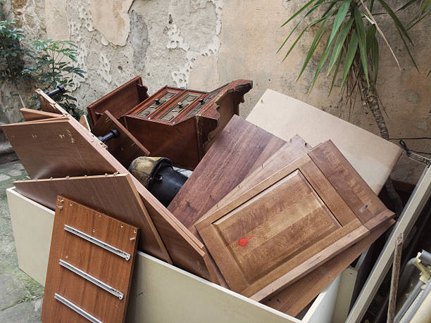 Debris Removal in Pharr, TX